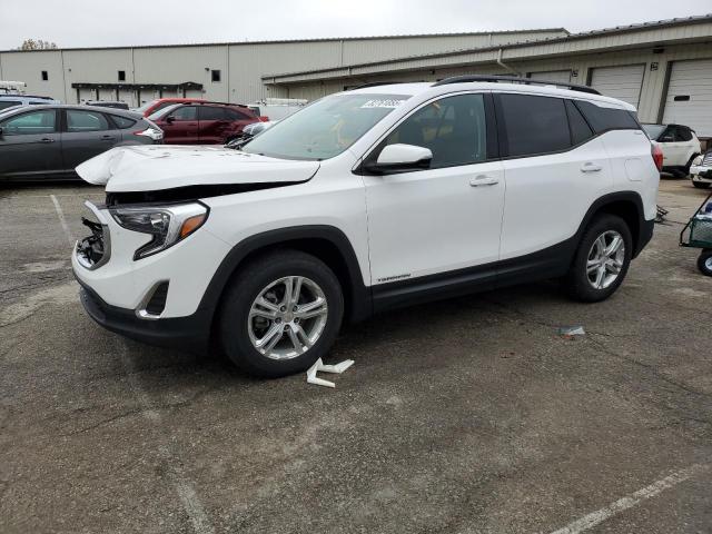 GMC TERRAIN SL 2020 with VIN 3GKALTEV9LL346416 - Photo from auction