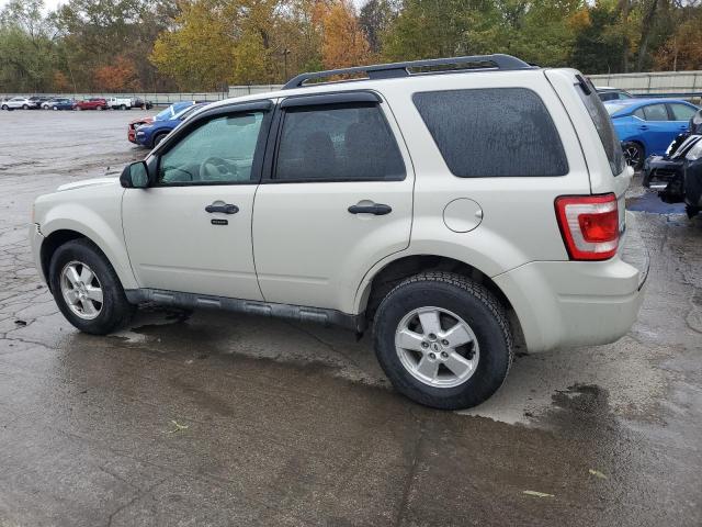 Photo 2 from auction – 2009 FORD ESCAPE XLT with VIN 1FMCU93G59KC56632