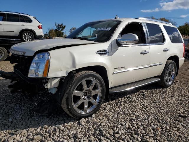 CADILLAC ESCALADE L 2010 with VIN 1GYUKBEF2AR101391 - Photo from auction