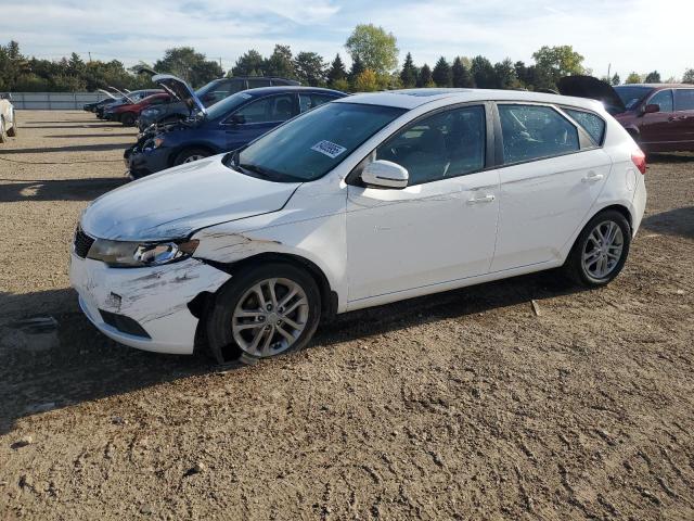 KIA FORTE EX 2012 with VIN KNAFU5A24C5503854 - Photo from auction