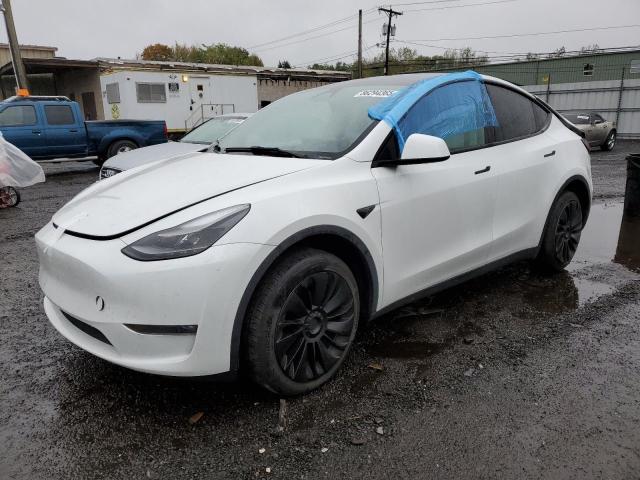 TESLA MODEL Y 2023 with VIN 7SAYGDED6PF956342 - Photo from auction