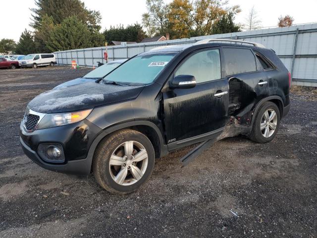 KIA SORENTO EX 2013 with VIN 5XYKUDA28DG328660 - Photo from auction