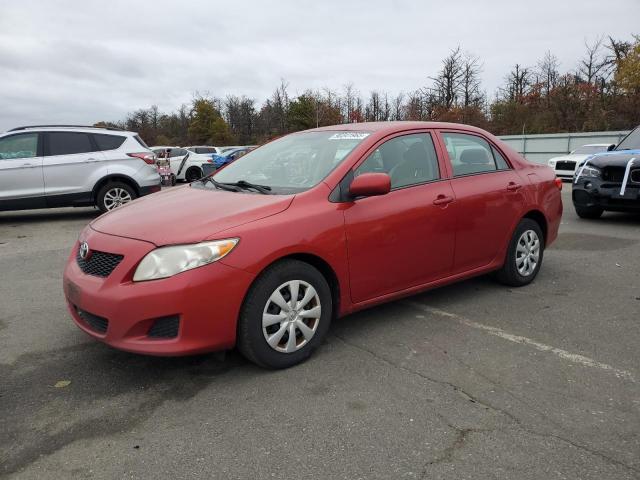 TOYOTA COROLLA 2010 with VIN 2T1BU4EE3AC326441 - Photo from auction