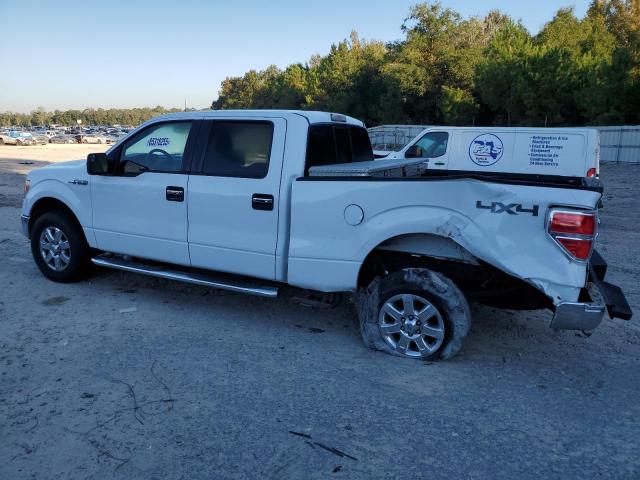 Photo 2 from auction – 2013 FORD F150 SUPER with VIN 1FTFW1EF3DFA58621