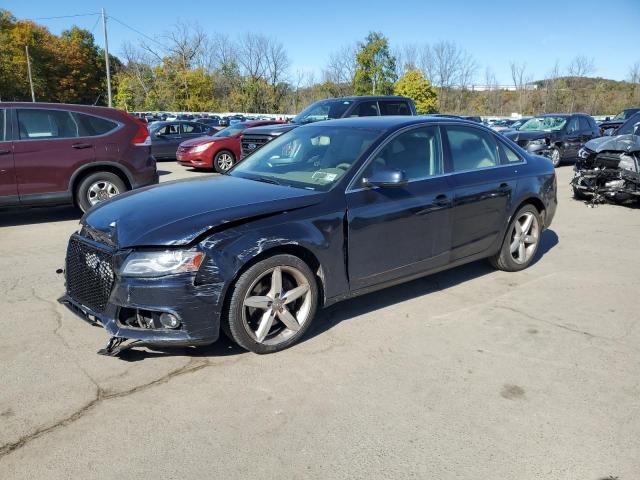 AUDI A4 PRESTIG 2010 with VIN WAUKFAFL3AN061701 - Photo from auction