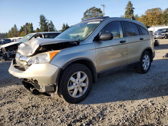 HONDA CR-V 2007 with VIN JHLRE48547C045017 - Photo from auction