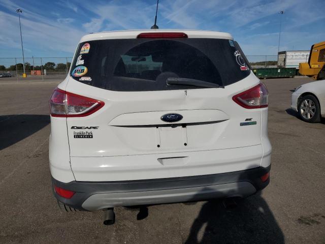 Photo 6 from auction – 2014 FORD ESCAPE SE with VIN 1FMCU0GX2EUD85934