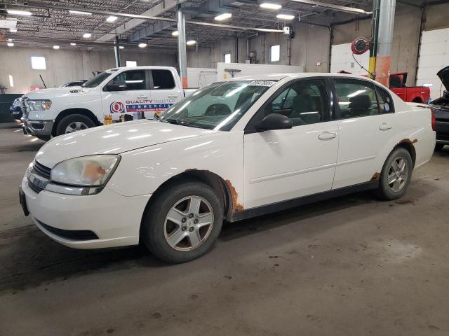 CHEVROLET MALIBU LS 2005 with VIN 1G1ZT54835F169602 - Photo from auction