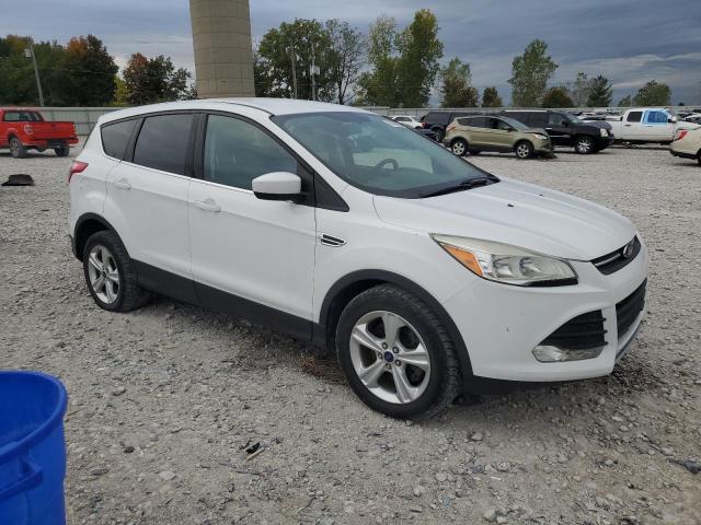 Photo 4 from auction – 2014 FORD ESCAPE SE with VIN 1FMCU9GX3EUD37878