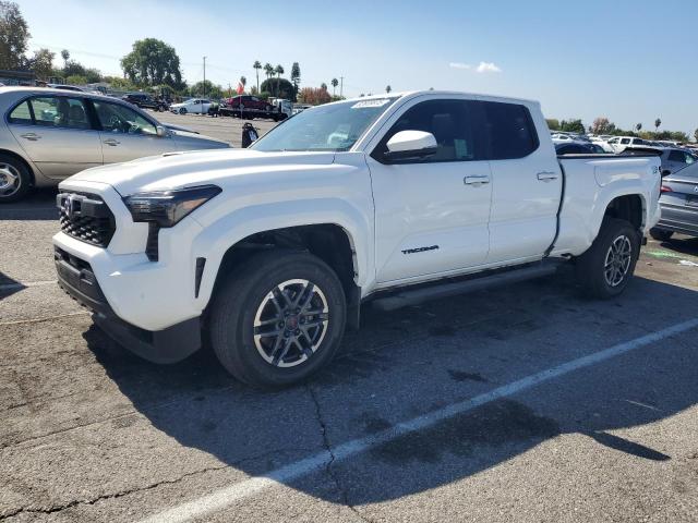TOYOTA TACOMA DOU 2024 with VIN 3TMLB5FN6RM001574 - Photo from auction
