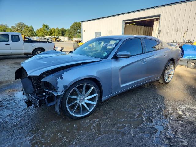 DODGE CHARGER 2014 with VIN 2C3CDXBG9EH135229 - Photo from auction