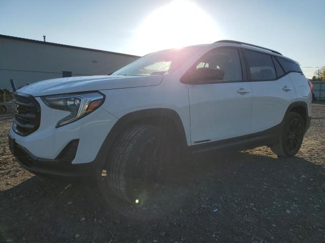 GMC TERRAIN SL 2019 with VIN 3GKALTEV6KL273889 - Photo from auction