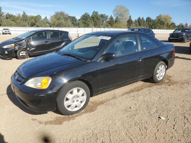 HONDA CIVIC EX 2002 with VIN 1HGEM229X2L019403 - Photo from auction