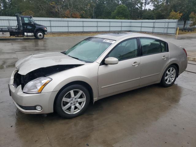 NISSAN MAXIMA SE 2005 with VIN 1N4BA41E85C834178 - Photo from auction