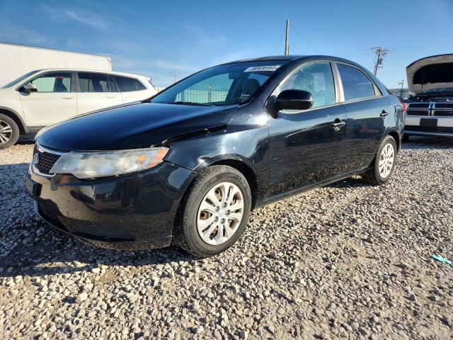 KIA FORTE EX 2011 with VIN KNAFU4A23B5425673 - Photo from auction