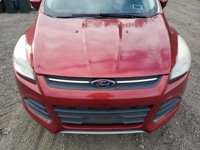 Photo 12 from auction – 2013 FORD ESCAPE SE with VIN 1FMCU0GXXDUB84684