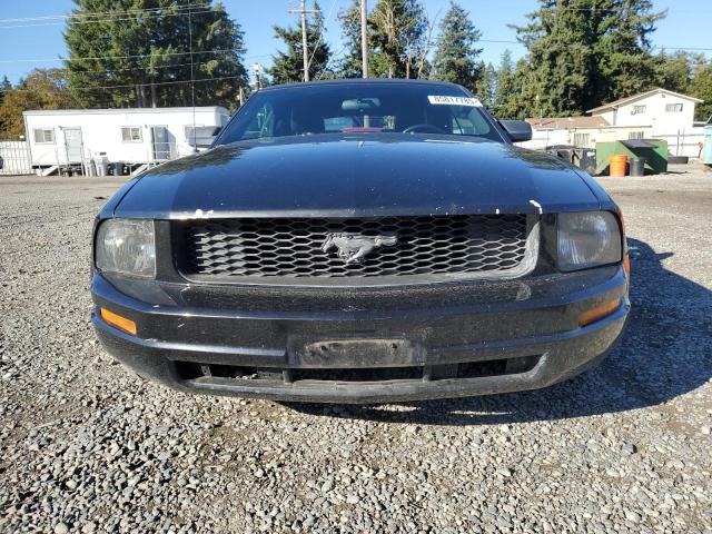 Photo 5 from auction – 2005 FORD MUSTANG with VIN 1ZVHT84N355247230