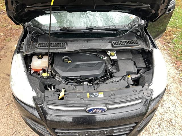 Photo 7 from auction – 2014 FORD ESCAPE SE with VIN 1FMCU0GX4EUE37404