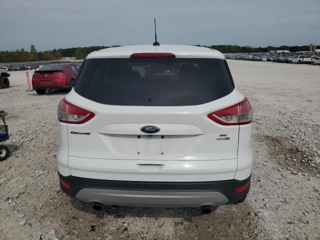 Photo 6 from auction – 2014 FORD ESCAPE SE with VIN 1FMCU9GX4EUD32222