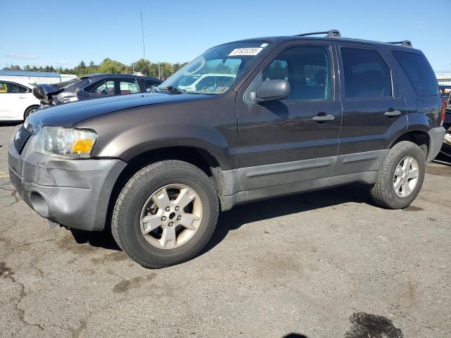 FORD ESCAPE XLT 2007 with VIN 1FMCU93167KB33639 - Photo from auction
