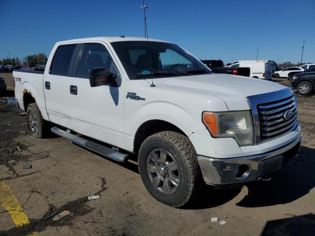 Photo 4 from auction – 2010 FORD F150 SUPER with VIN 1FTFW1EV9AFA28395
