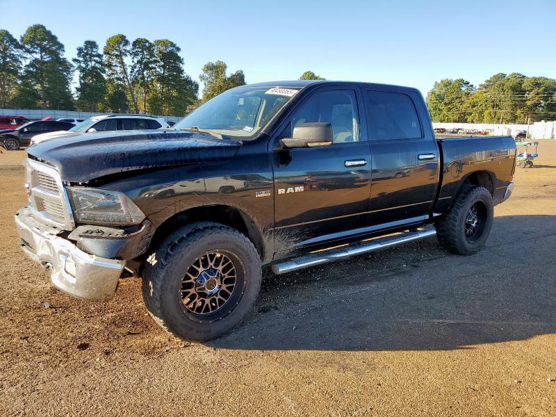 DODGE RAM 1500 2009 with VIN 1D3HV13T49S717929 - Photo from auction