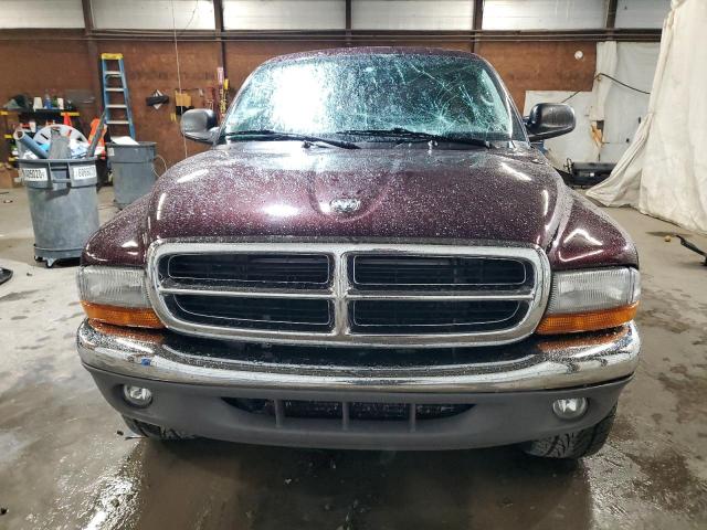 Photo 5 from auction – 2004 DODGE DAKOTA SLT with VIN 1D7HG42N44S689135