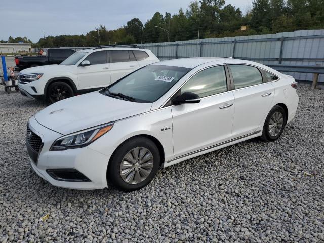 Photo 1 from auction – 2017 HYUNDAI SONATA with VIN KMHE24L13HA058309