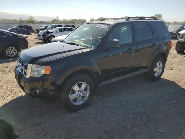 Photo 1 from auction – 2010 FORD ESCAPE XLT with VIN 1FMCU0D73AKC89675
