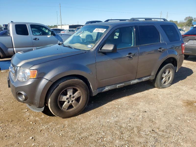 FORD ESCAPE XLT 2010 with VIN 1FMCU9DG3AKD41259 - Photo from auction