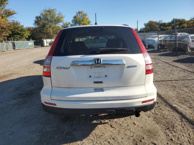 Photo 6 from auction – 2011 HONDA CR-V EX with VIN 5J6RE4H58BL101864
