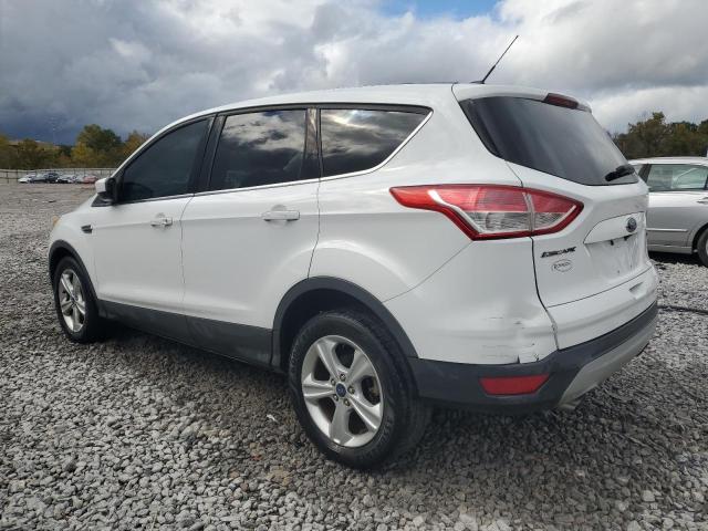 Photo 2 from auction – 2014 FORD ESCAPE SE with VIN 1FMCU0GX9EUB17091