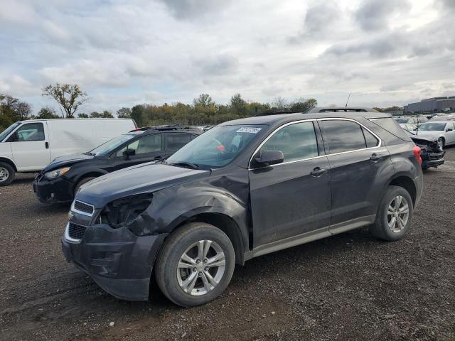 CHEVROLET EQUINOX LT 2013 with VIN 2GNALDEK2D6109030 - Photo from auction