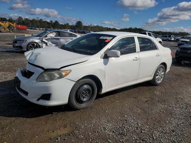 TOYOTA COROLLA 2010 with VIN 1NXBU4EE2AZ181343 - Photo from auction