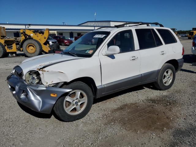 HYUNDAI SANTA FE 2004 with VIN KM8SC13E64U611965 - Photo from auction