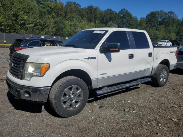 FORD F150 SUPER 2011 with VIN 1FTFW1ET8BFB87599 - Photo from auction