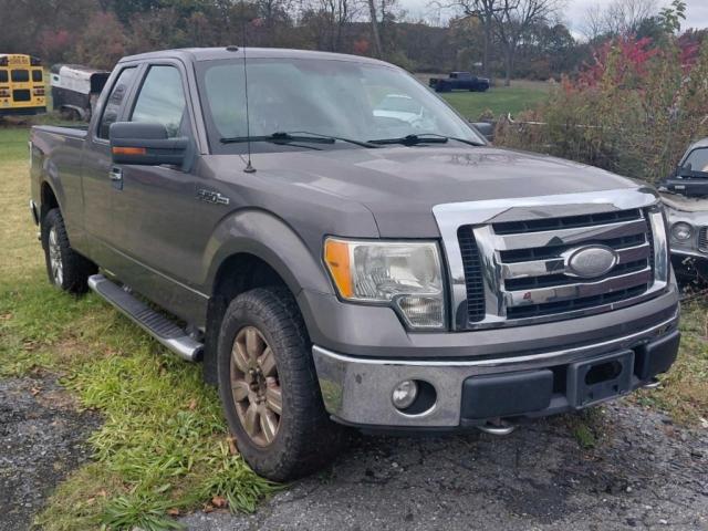FORD F150 SUPER 2009 with VIN 1FTPX14V69FB13676 - Photo from auction