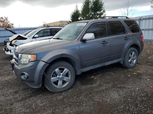 FORD ESCAPE XLT 2010 with VIN 1FMCU0D74AKC98126 - Photo from auction