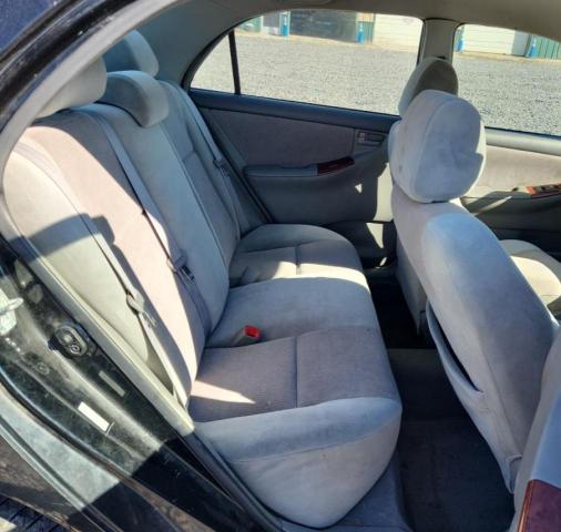 Photo 10 from auction – 2008 TOYOTA COROLLA CE with VIN 1NXBR32E08Z049384