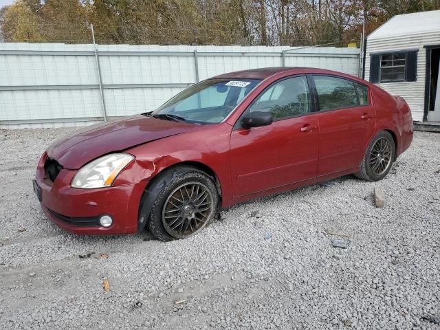 NISSAN MAXIMA SE 2005 with VIN 1N4BA41E65C849892 - Photo from auction