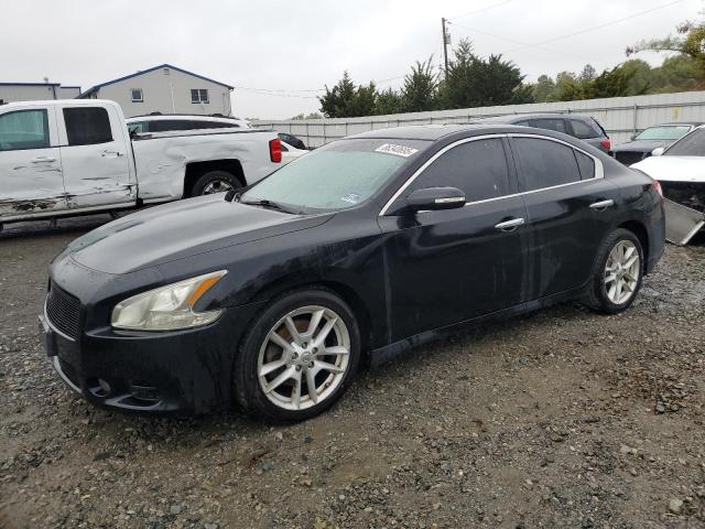NISSAN MAXIMA S 2009 with VIN 1N4AA51EX9C861597 - Photo from auction
