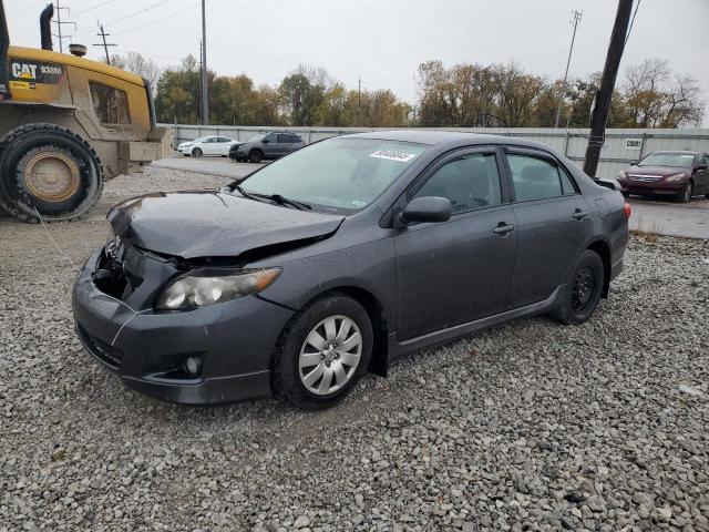 TOYOTA COROLLA BA 2010 with VIN 2T1BU4EE4AC464022 - Photo from auction
