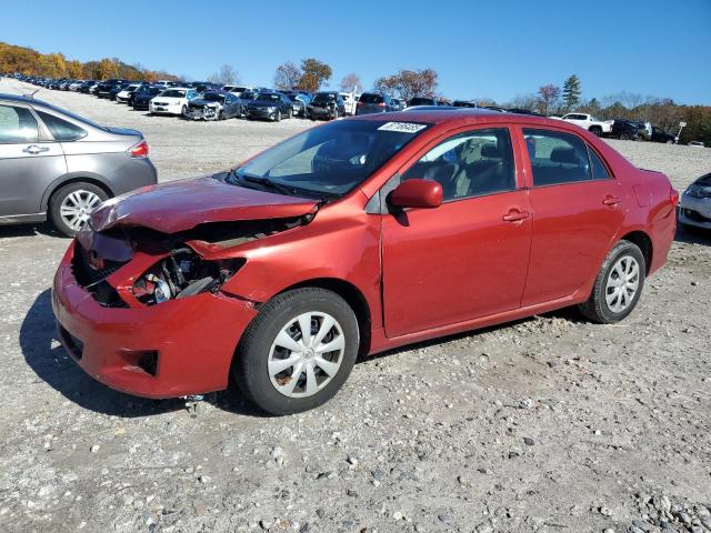 TOYOTA COROLLA BA 2009 with VIN JTDBL40E599041929 - Photo from auction