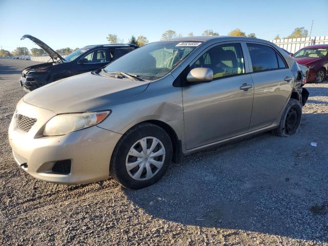 TOYOTA COROLLA BA 2009 with VIN 2T1BU40EX9C155383 - Photo from auction