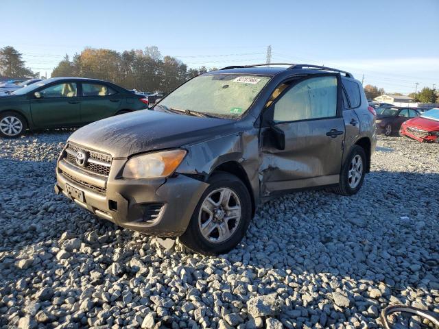 TOYOTA RAV4 2011 with VIN 2T3BF4DV3BW095527 - Photo from auction