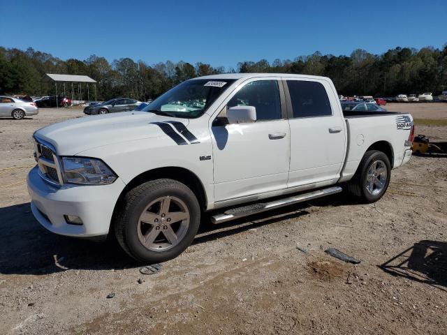 DODGE RAM 1500 2010 with VIN 1D7RB1CT3AS109349 - Photo from auction