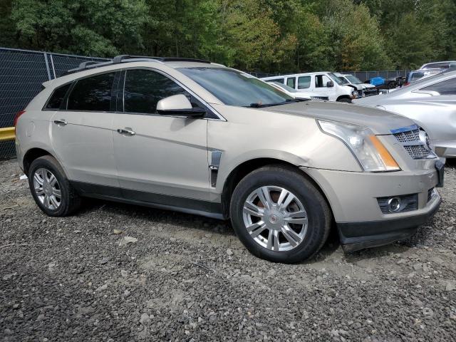 Photo 4 from auction – 2012 CADILLAC SRX PREMIU with VIN 3GYFNFE37CS541202