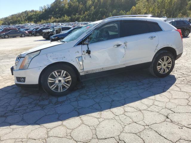 CADILLAC SRX LUXURY 2015 with VIN 3GYFNEE31FS548807 - Photo from auction