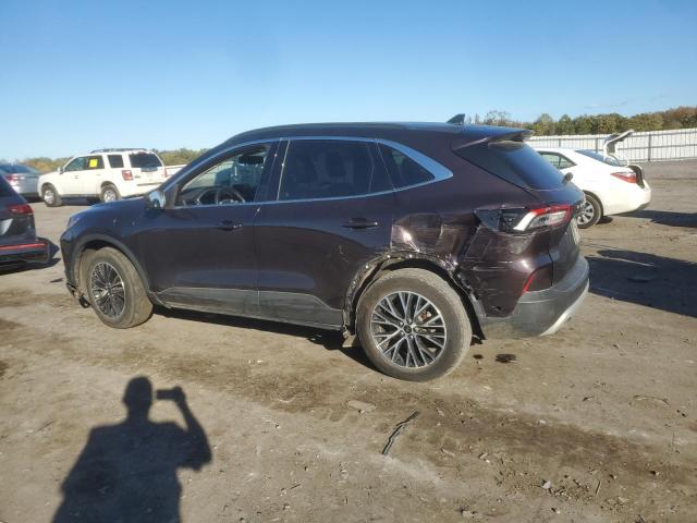 Photo 2 from auction – 2023 FORD ESCAPE with VIN 1FMCU0E18PUA90676