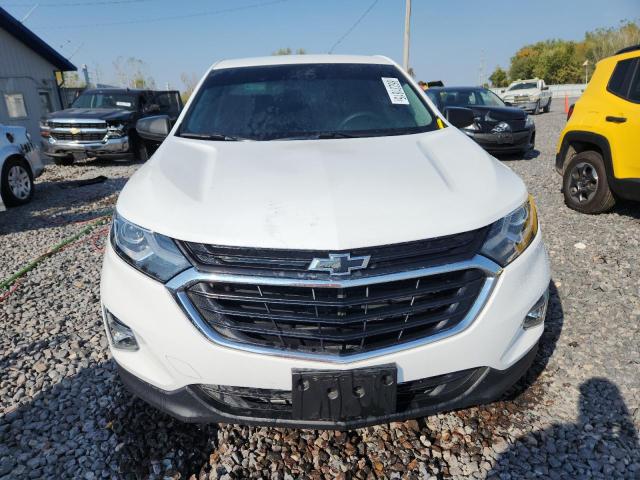 Photo 5 from auction – 2021 CHEVROLET EQUINOX LS with VIN 3GNAXHEV6MS162269